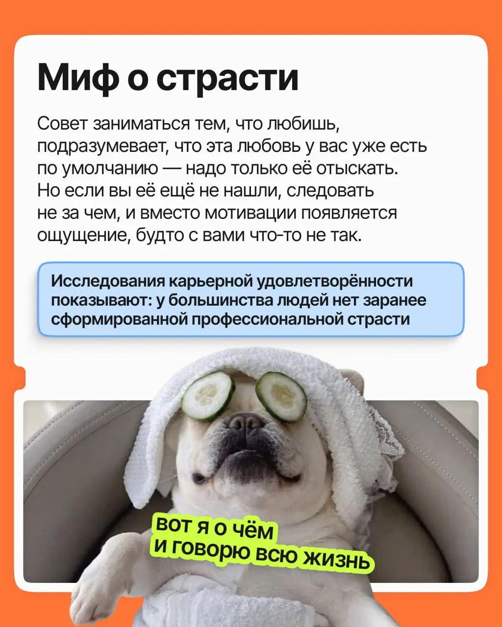 Идея, что нужно найти своё призвание и не работать ни дня, на самом деле вредна для карьеры и ментального здоровья | Сетка — социальная сеть от hh.ru