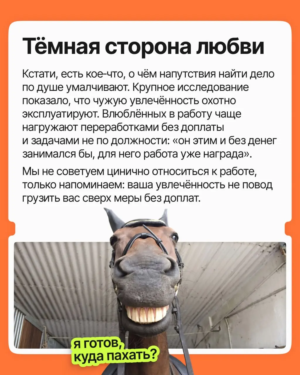 Идея, что нужно найти своё призвание и не работать ни дня, на самом деле вредна для карьеры и ментального здоровья | Сетка — социальная сеть от hh.ru