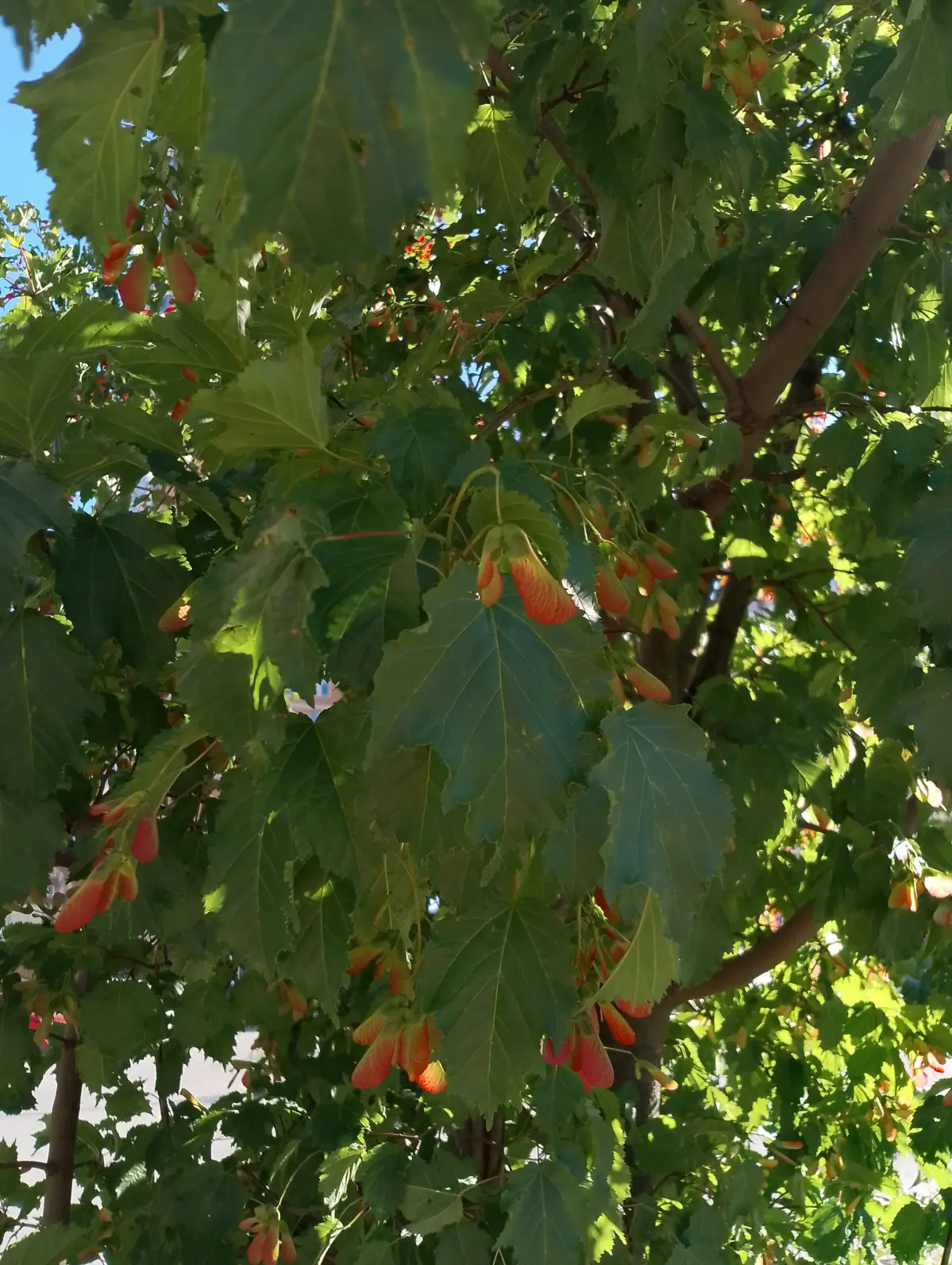 красота Природы🙌🏻🌿💚 | Сетка — социальная сеть от hh.ru