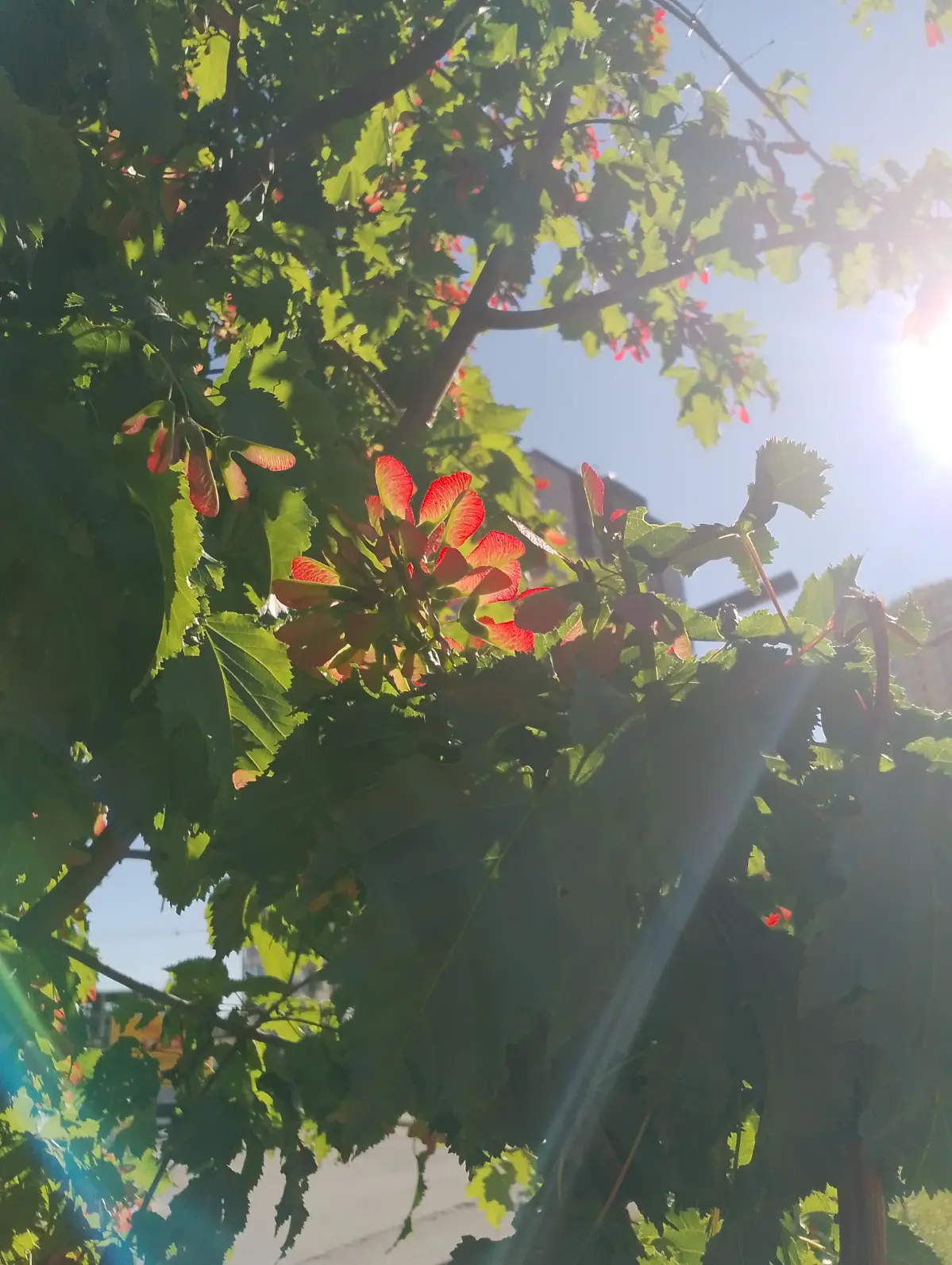 красота Природы🙌🏻🌿💚 | Сетка — социальная сеть от hh.ru