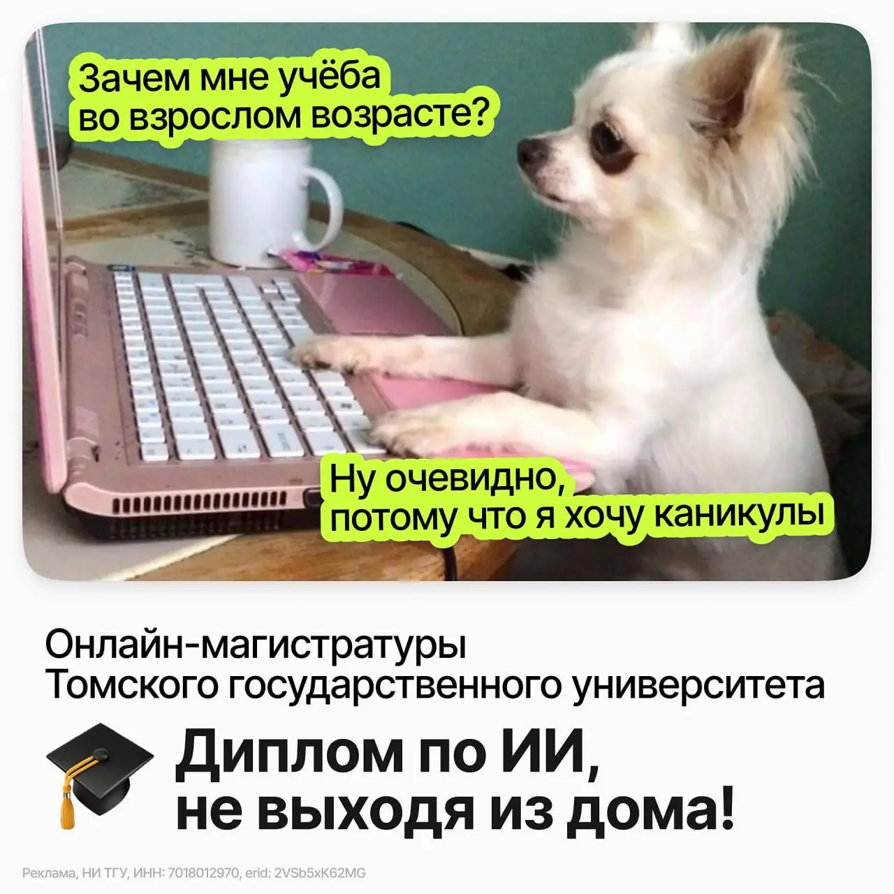 ИИ, LLM, вайбкодинг — эти сферы меняются быстрее, чем успеваешь следить за новостями о них 😨
А пойти учиться чему-то фундаментальному кажется и вовсе неподъёмным: как вписать учёбу в и без того хрупки... | Сетка — социальная сеть от hh.ru
