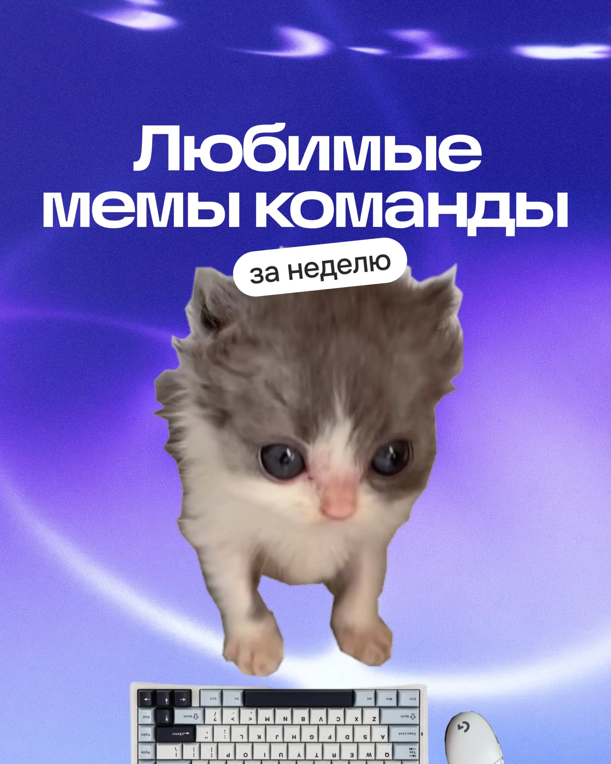 Давно не шутили про зумеров?
А мы завозим мемы от них — наслаждаемся, друзья 🐷
В комментариях, конечно же, не забываем делиться любимыми картинками за эту неделю! | Сетка — социальная сеть от hh.ru