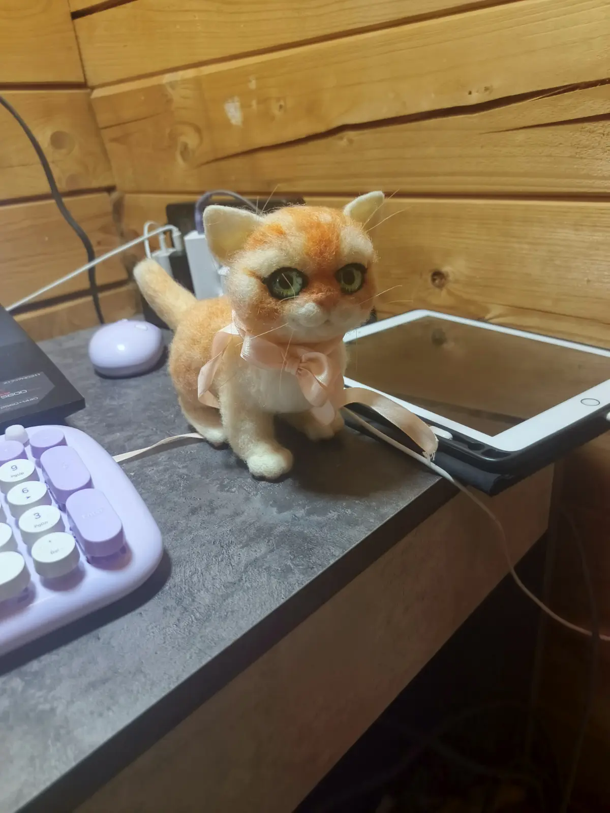 Мне кажется в моём коте присутствуют гены моли, термита, медвежатника и перфоратора | Сетка — социальная сеть от hh.ru