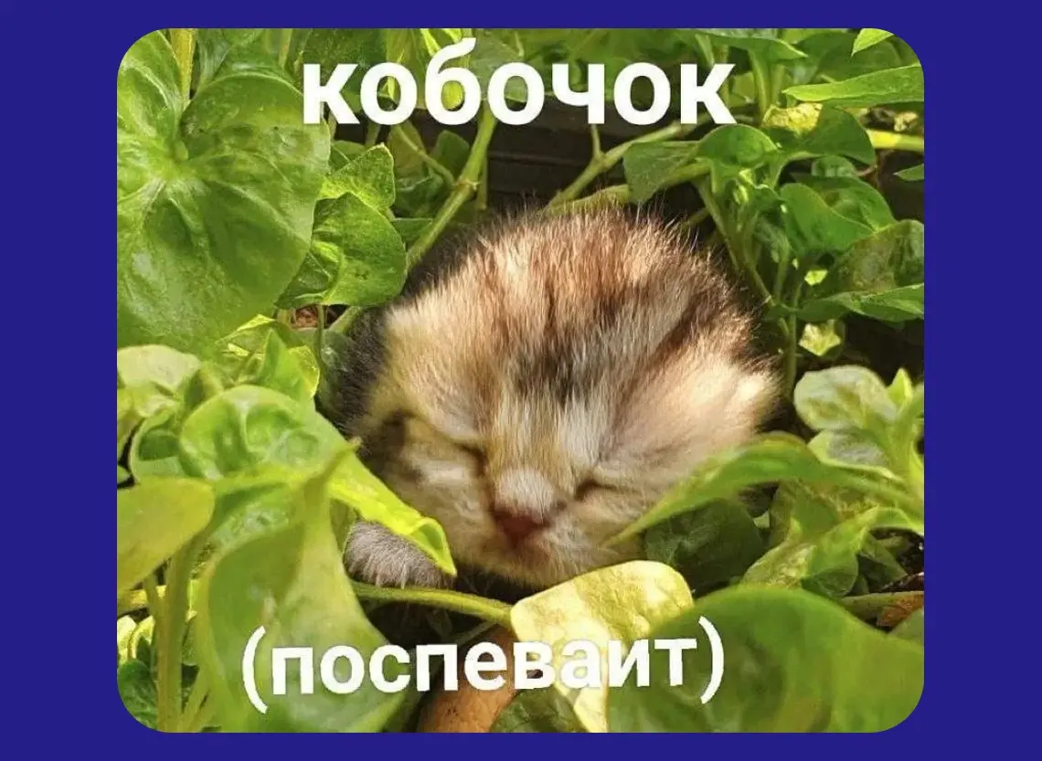 Прикиньте, эт вакансия! | Сетка — социальная сеть от hh.ru