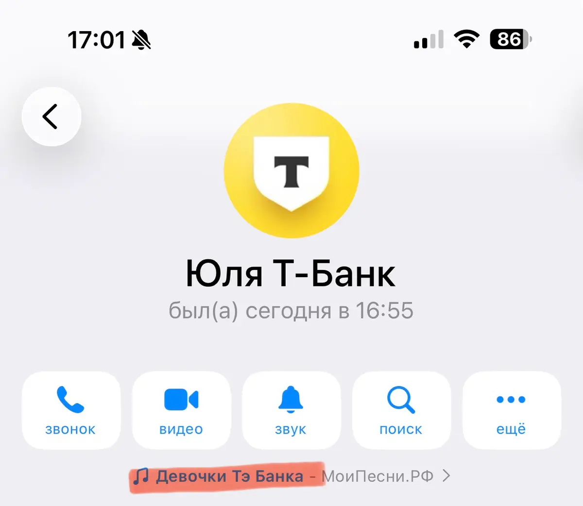 Секту в сетке не ищу | Сетка — социальная сеть от hh.ru