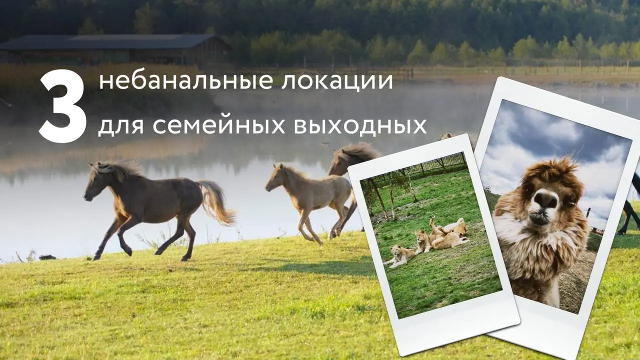 Мы живем в северо-западном направлении Московской области, поэтому и места собраны по Новорижскому и Ленинградскому шоссе.
1 | Сетка — социальная сеть от hh.ru