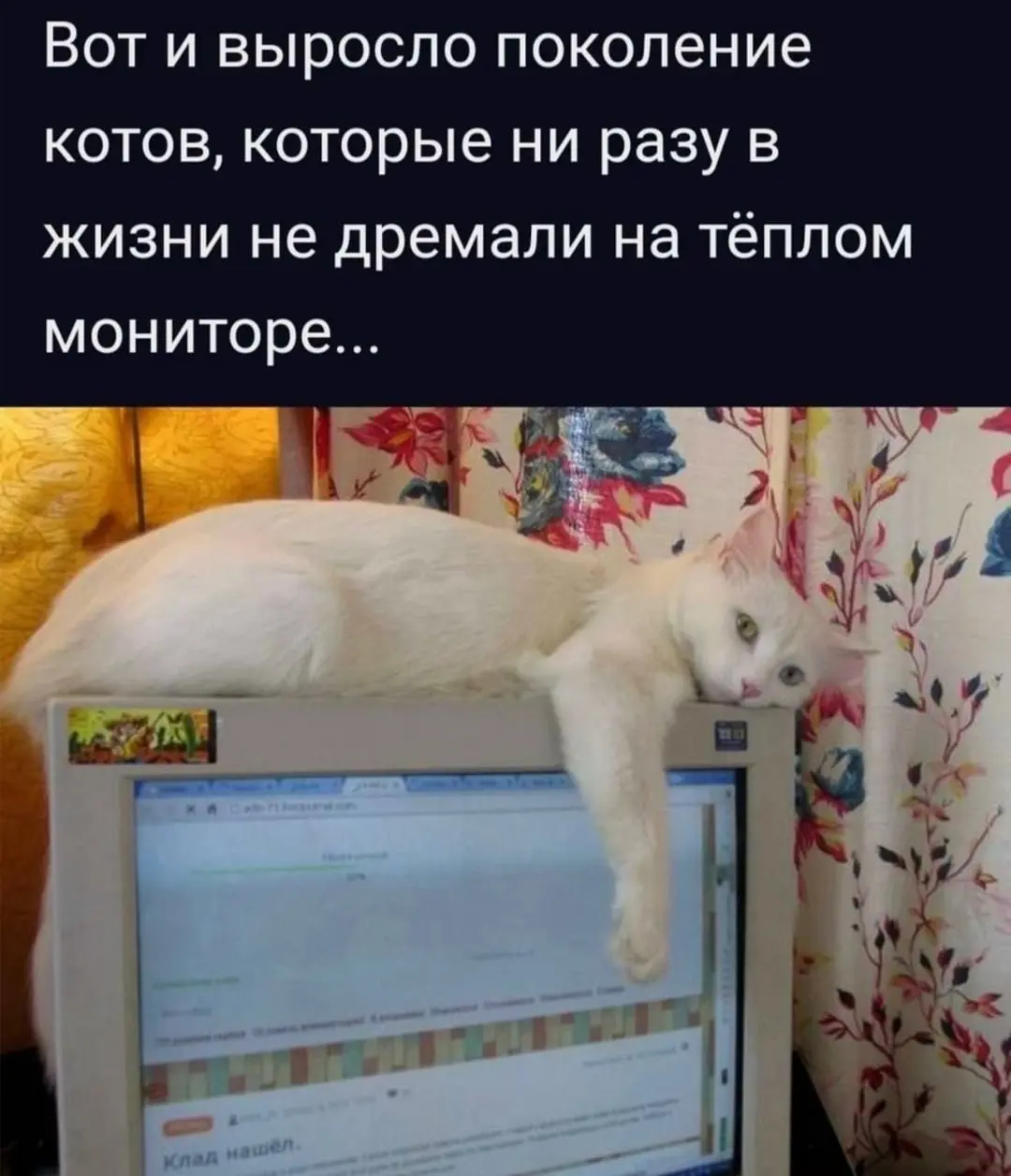 Твоя ежедневная доза сарказма. Подписывайся 🗿 | Сетка — социальная сеть от hh.ru