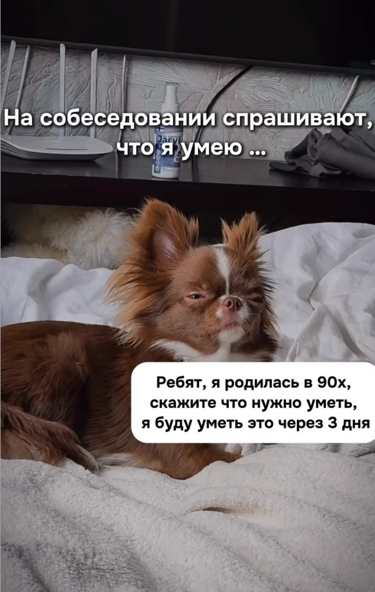 Миллениалы в сборе? | Сетка — социальная сеть от hh.ru