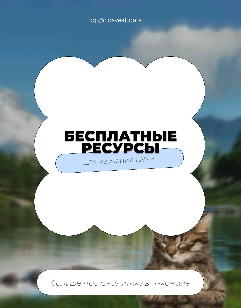 😨 Бесплатные ресурсы для изучения DWH — собрала всё в один пост
Курсы
База: что такое DWH
• DWH scenario — требования, архитектура, слои, Greenplum vs PostgreSQL, Data Platform · Yandex Cloud
• Modern... | Сетка — социальная сеть от hh.ru