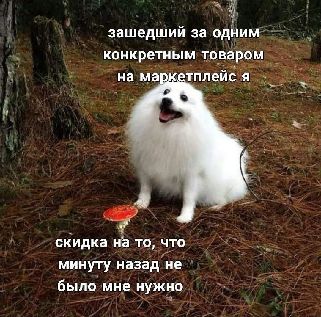 We’re hiring 💜 | Сетка — социальная сеть от hh.ru