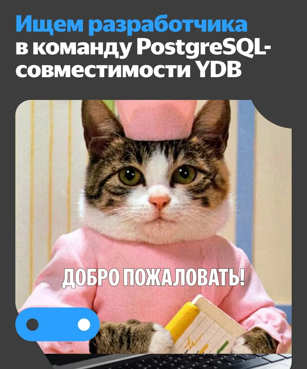 🔍 Открыли вакансию для разработчика в команду PostgreSQL-совместимости YDB
Привет! Я Лёша Мясников, кандидат технических наук, Certified MBA и отец троих детей | Сетка — социальная сеть от hh.ru