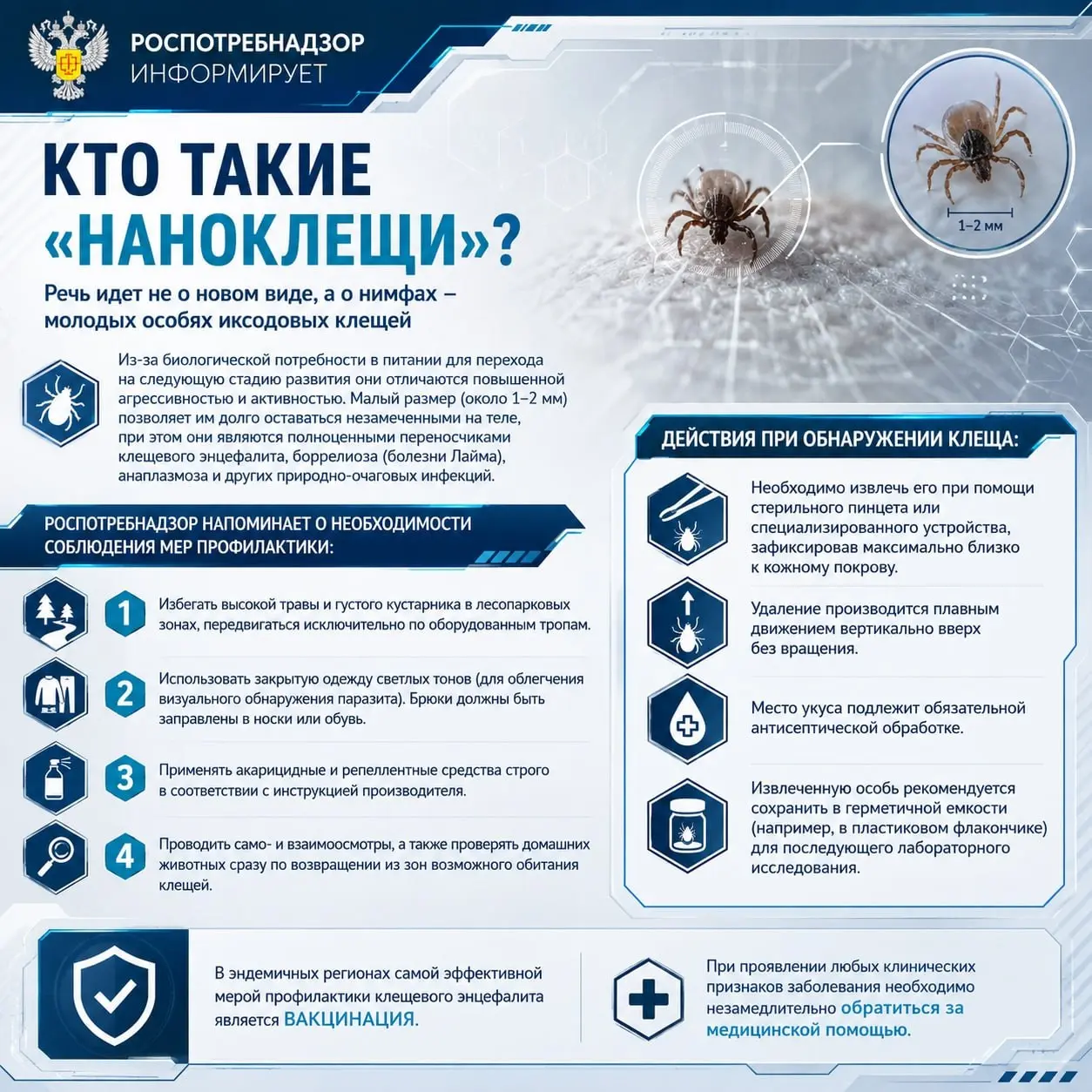 Роспотребнадзор пояснил, кто такие "наноклещи"
📱 А мы напоминаем, что Перечень эндемичных территорий на 2026 год можно посмотреть по ссылке и там же скачать его официальный вариант
Блог—Инженерадля лю... | Сетка — социальная сеть от hh.ru