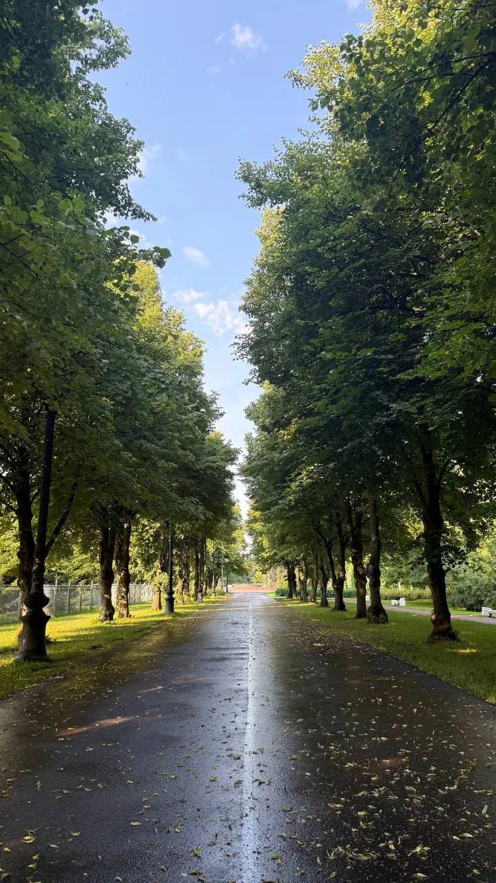 Питер, лето, не жара🌦️
Недавно неделю провел в северной столице.
Якорная цель поездки - мое выступление на Белой Конфе.
Говорят прошлые конференции собирали больше людей, но как по мне, было отлично | Сетка — социальная сеть от hh.ru