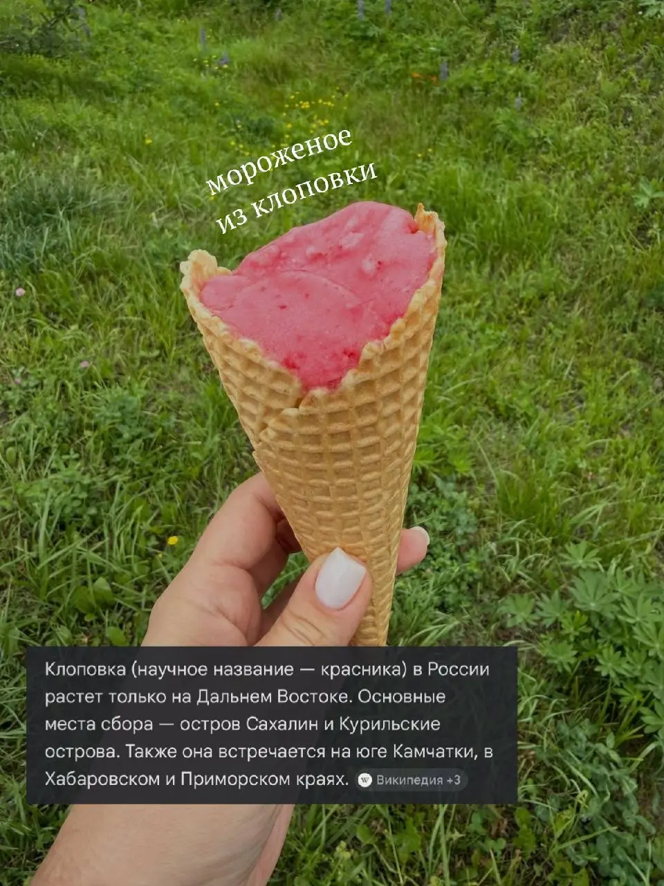 Гастро-заметки прямиком из Сахалина: знакомимся с культурой и традициями через то, что здесь едят) | Сетка — социальная сеть от hh.ru