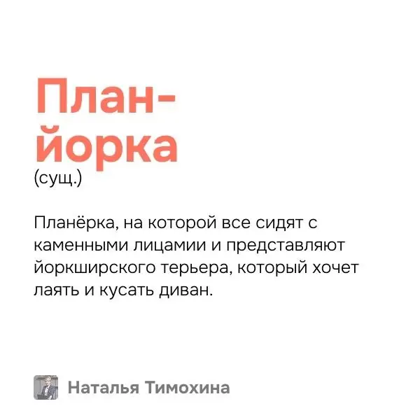 Вы когда-нибудь задумывались о питомцах на совещаниях? :) | Сетка — социальная сеть от hh.ru