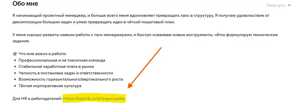 Ссылка в резюме, которая заставила меня открыть его первым | Сетка — социальная сеть от hh.ru