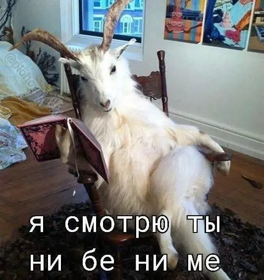 Возрастной ценз в B2B(B2S)-продажах — это миф? 🧐 | Сетка — социальная сеть от hh.ru