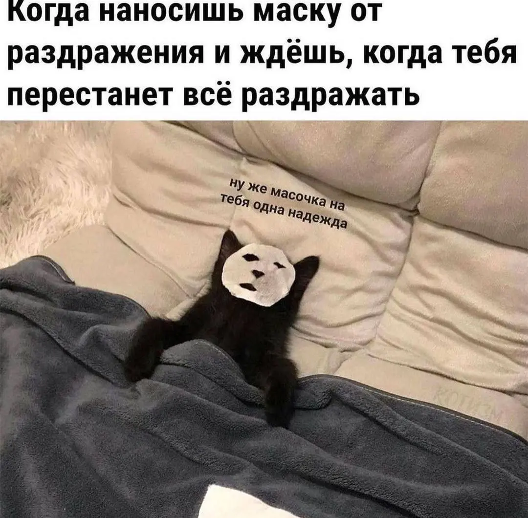Одна масочка тут не поможет😂
БЛОГ В ТГ / БЛОГ В MAX
#Юмор #Коты
В этом посте были ссылки, но мы их удалили по правилам Сетки | Сетка — социальная сеть от hh.ru