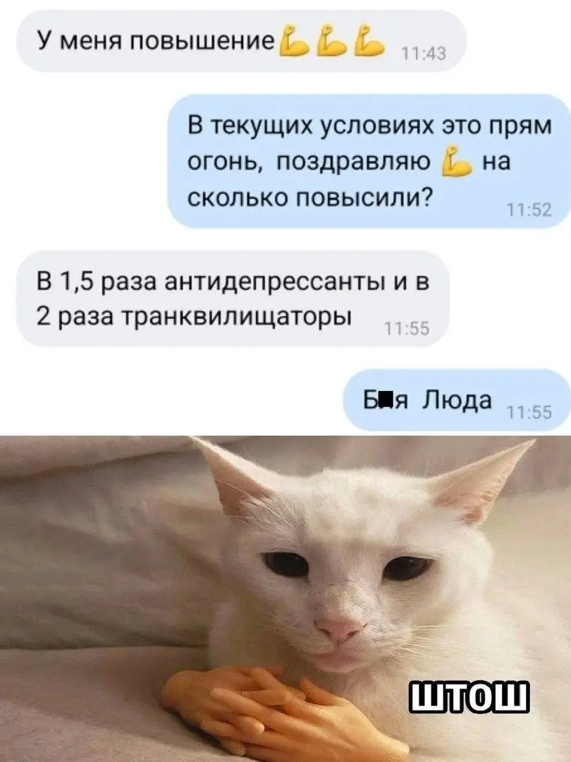 Немножко актуального с диджитального рынка 😁
#маркетинг #юмор | Сетка — социальная сеть от hh.ru