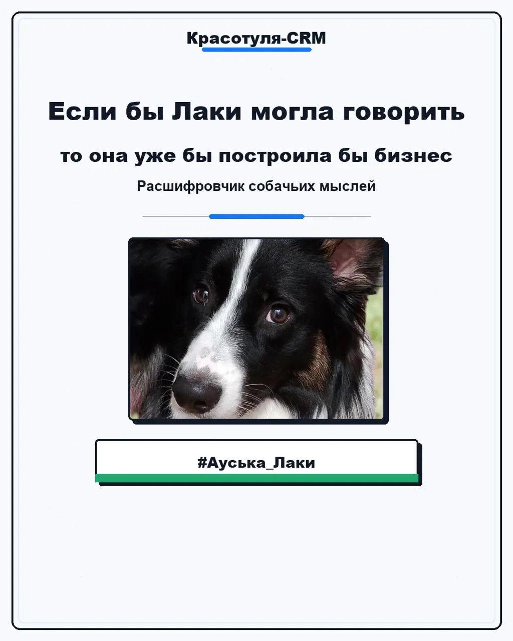 #Бизнескоуч...с хвостом | Сетка — социальная сеть от hh.ru