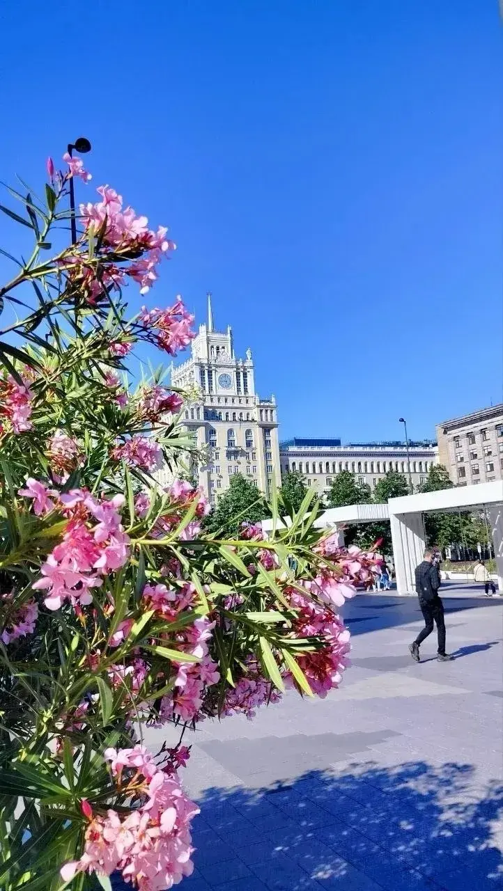 📸А у нас для вас новая серия солнечных фотографий от техника по обходу сетей района канализационной №2 Елены Васиной!
На этих кадрах - Тверская, Новый Арбат, Пушкинская площадь | Сетка — социальная сеть от hh.ru