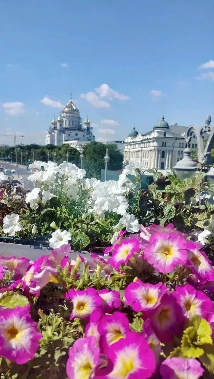 📸А у нас для вас новая серия солнечных фотографий от техника по обходу сетей района канализационной №2 Елены Васиной!
На этих кадрах - Тверская, Новый Арбат, Пушкинская площадь | Сетка — социальная сеть от hh.ru