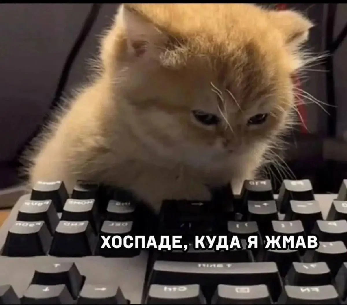 Если уж приукрашивать — делай это умно
Не идеальный совет, но честный | Сетка — социальная сеть от hh.ru
