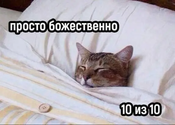 План на выходные 🚫 | Сетка — социальная сеть от hh.ru
