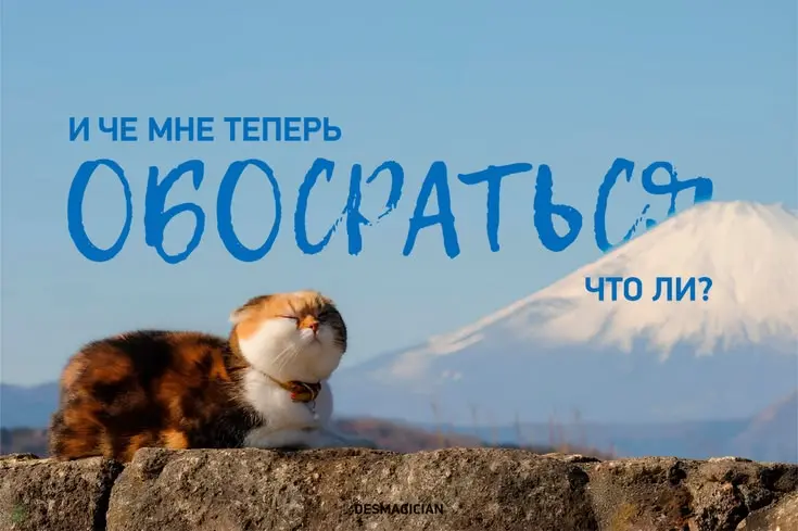 Крутить опыт кринж? Или необходимость? | Сетка — социальная сеть от hh.ru