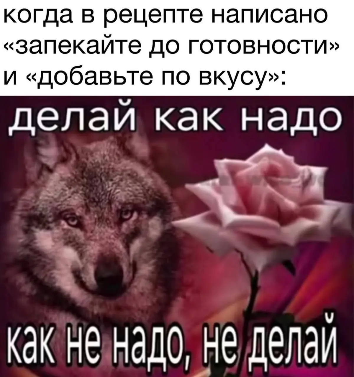 Как мозг нас разводит и что с этим делать | Сетка — социальная сеть от hh.ru