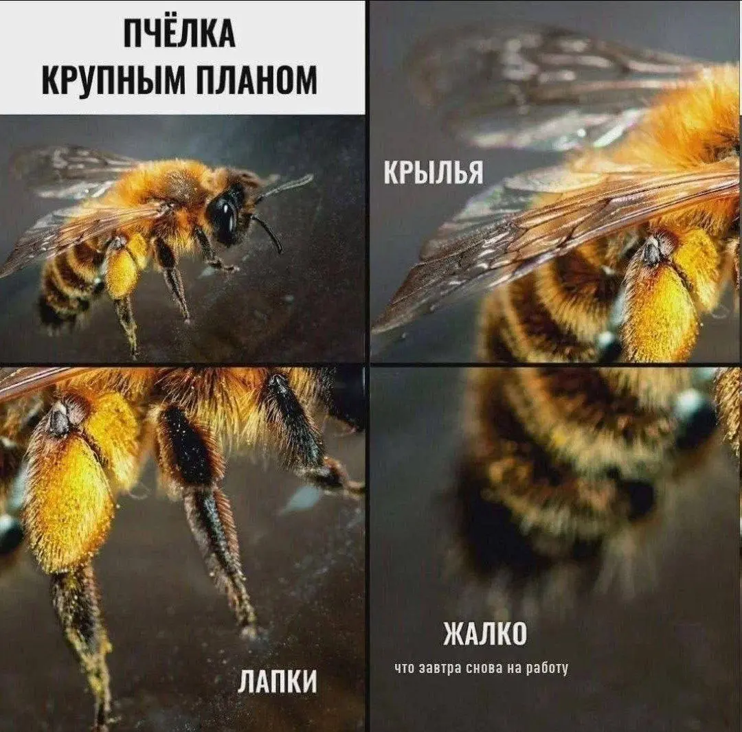 #life #work | Сетка — социальная сеть от hh.ru