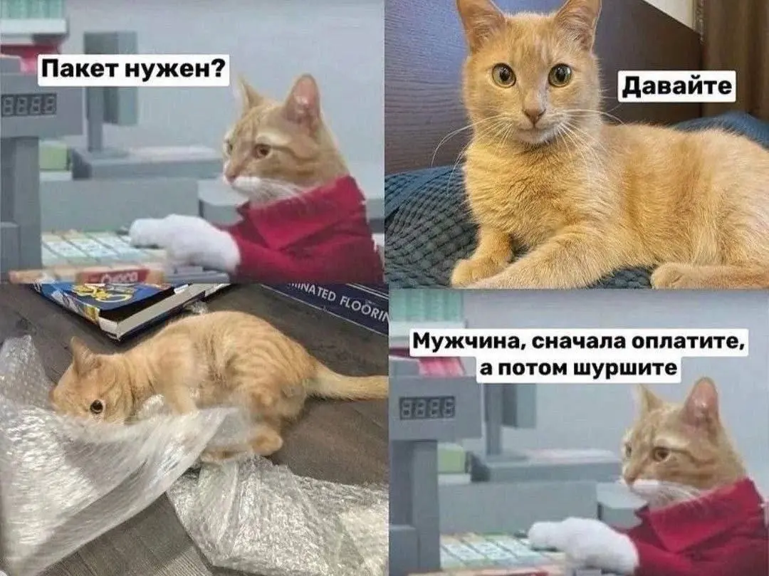 Но деньги вперед 😂
БЛОГ В ТГ / БЛОГ В MAX
#Юмор   #Коты
В этом посте были ссылки, но мы их удалили по правилам Сетки | Сетка — социальная сеть от hh.ru