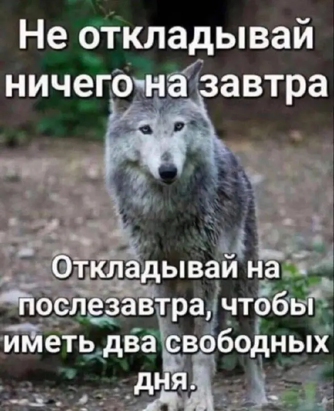#IT
😂 ПМ 💬 MAX 🛍 Другие каналы
В этом посте были ссылки, но мы их удалили по правилам Сетки | Сетка — социальная сеть от hh.ru