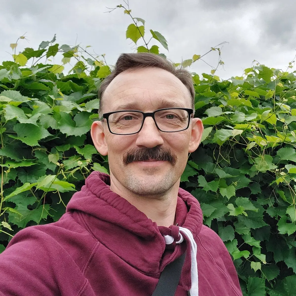 Network member avatar