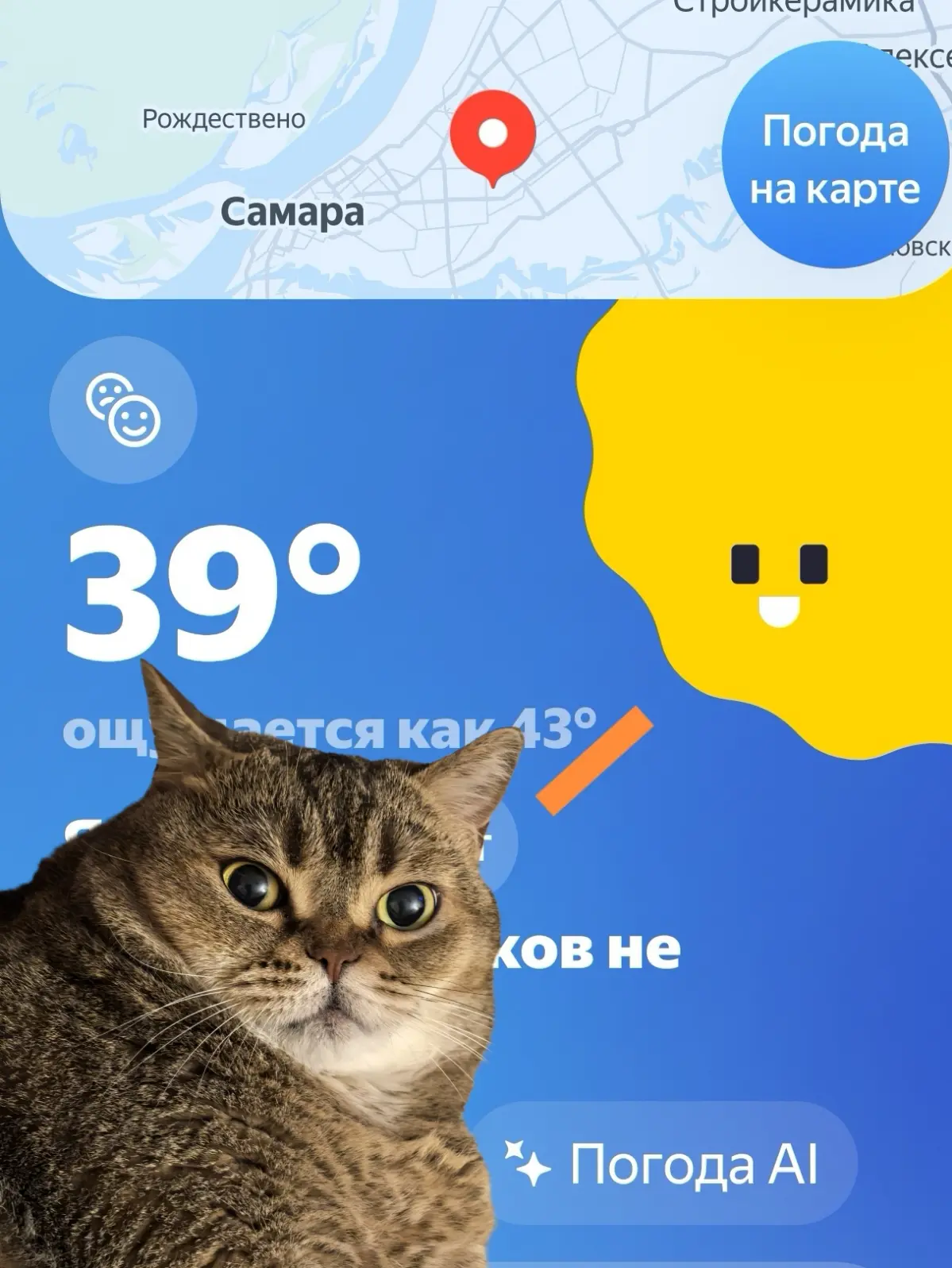 И СНОВА О ПОГОДЕ 🥵🤪 | Сетка — социальная сеть от hh.ru