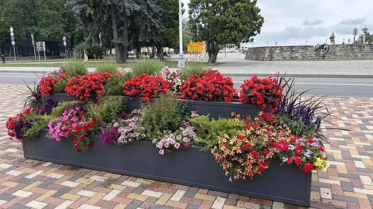 Улицы Ставрополя украсили 20 тысяч цветов
Этим летом в городе появилось более 350 подвесных кашпо. Их разместили на центральных улицах. Для цветочного оформления использовали около 20 тысяч растений | Сетка — социальная сеть от hh.ru