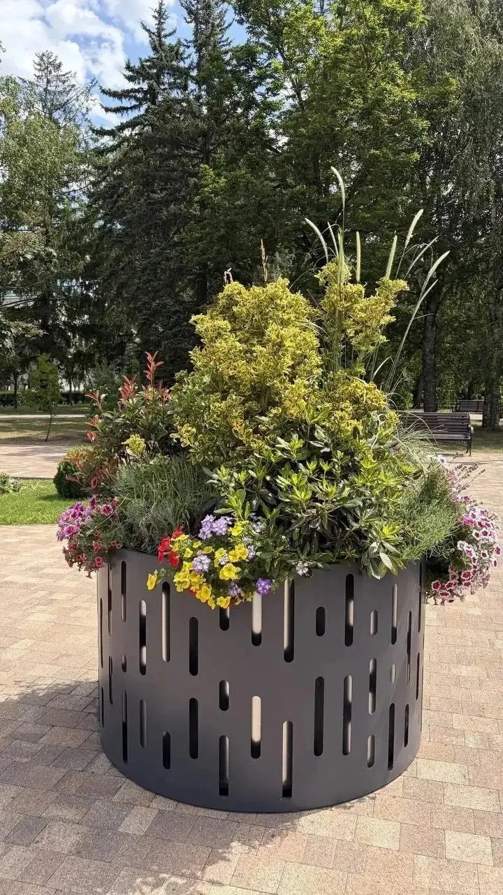 Улицы Ставрополя украсили 20 тысяч цветов
Этим летом в городе появилось более 350 подвесных кашпо. Их разместили на центральных улицах. Для цветочного оформления использовали около 20 тысяч растений | Сетка — социальная сеть от hh.ru