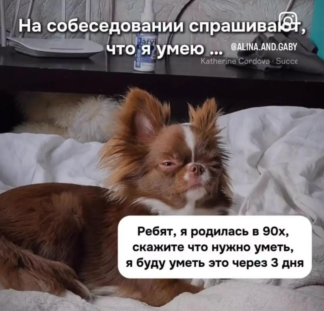Когда работодатели ищут «готового специалиста»... | Сетка — социальная сеть от hh.ru
