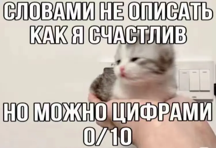 Неприятно осознавать, что лето подходит к концу. | Сетка — социальная сеть от hh.ru