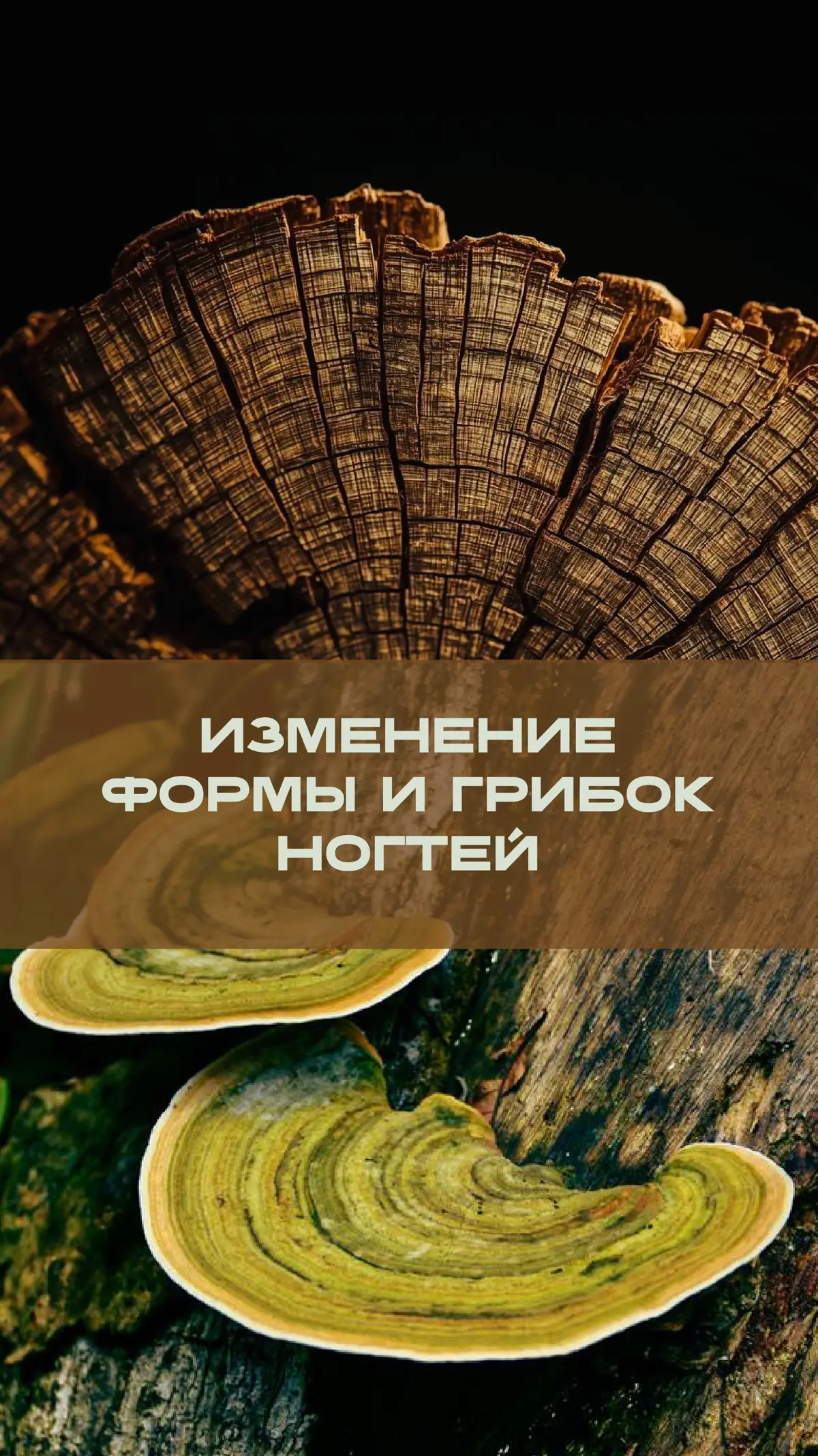 Все делают - и ты тоже делай ;) | Сетка — социальная сеть от hh.ru