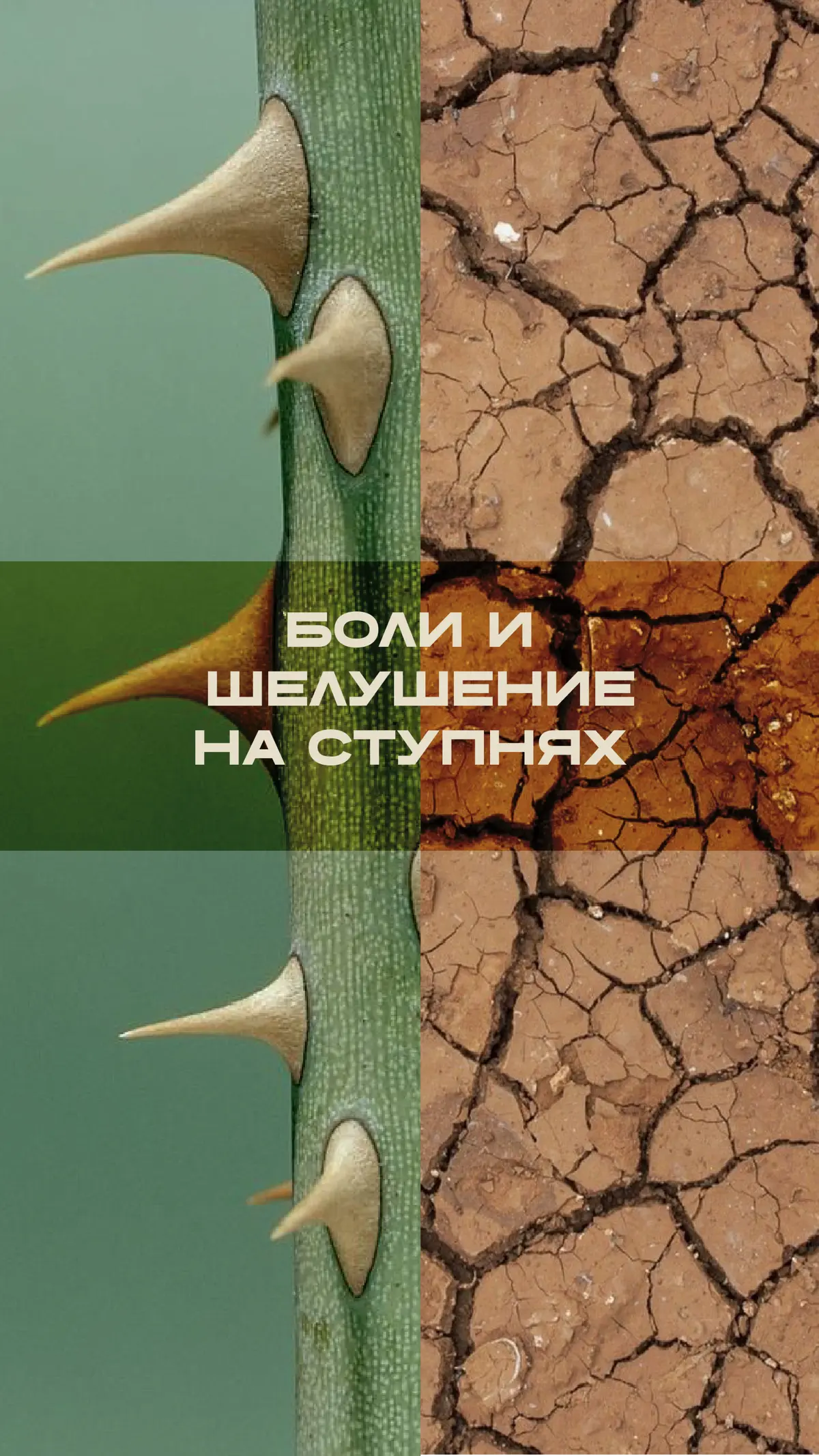 Все делают - и ты тоже делай ;) | Сетка — социальная сеть от hh.ru