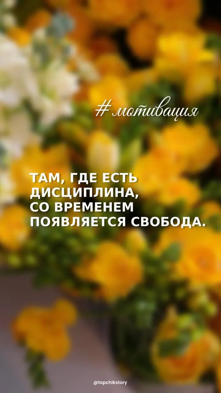 Доброе утро!
Понедельник день тяжелый, но он задает цель всей неделе. Удачной недели! ❤️ | Сетка — социальная сеть от hh.ru