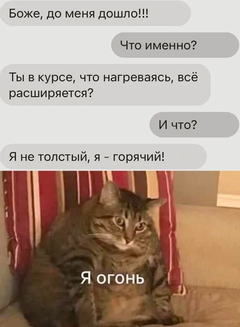 Знания физики наконец-то пригодились 😂
БЛОГ В ТГ / БЛОГ В MAX
#Юмор #Коты
В этом посте были ссылки, но мы их удалили по правилам Сетки | Сетка — социальная сеть от hh.ru