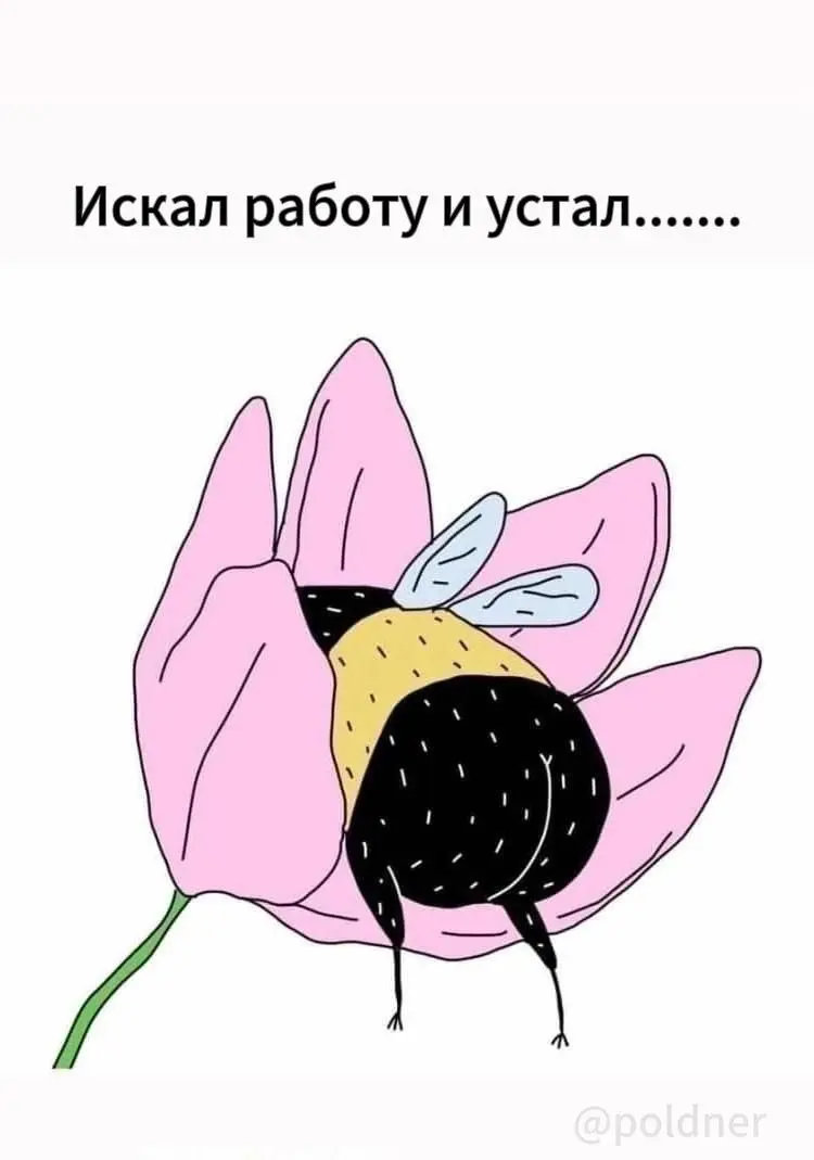 Я/МЫ немного этот шмель 😂
БЛОГ В ТГ / БЛОГ В MAX
#Юмор
В этом посте были ссылки, но мы их удалили по правилам Сетки | Сетка — социальная сеть от hh.ru