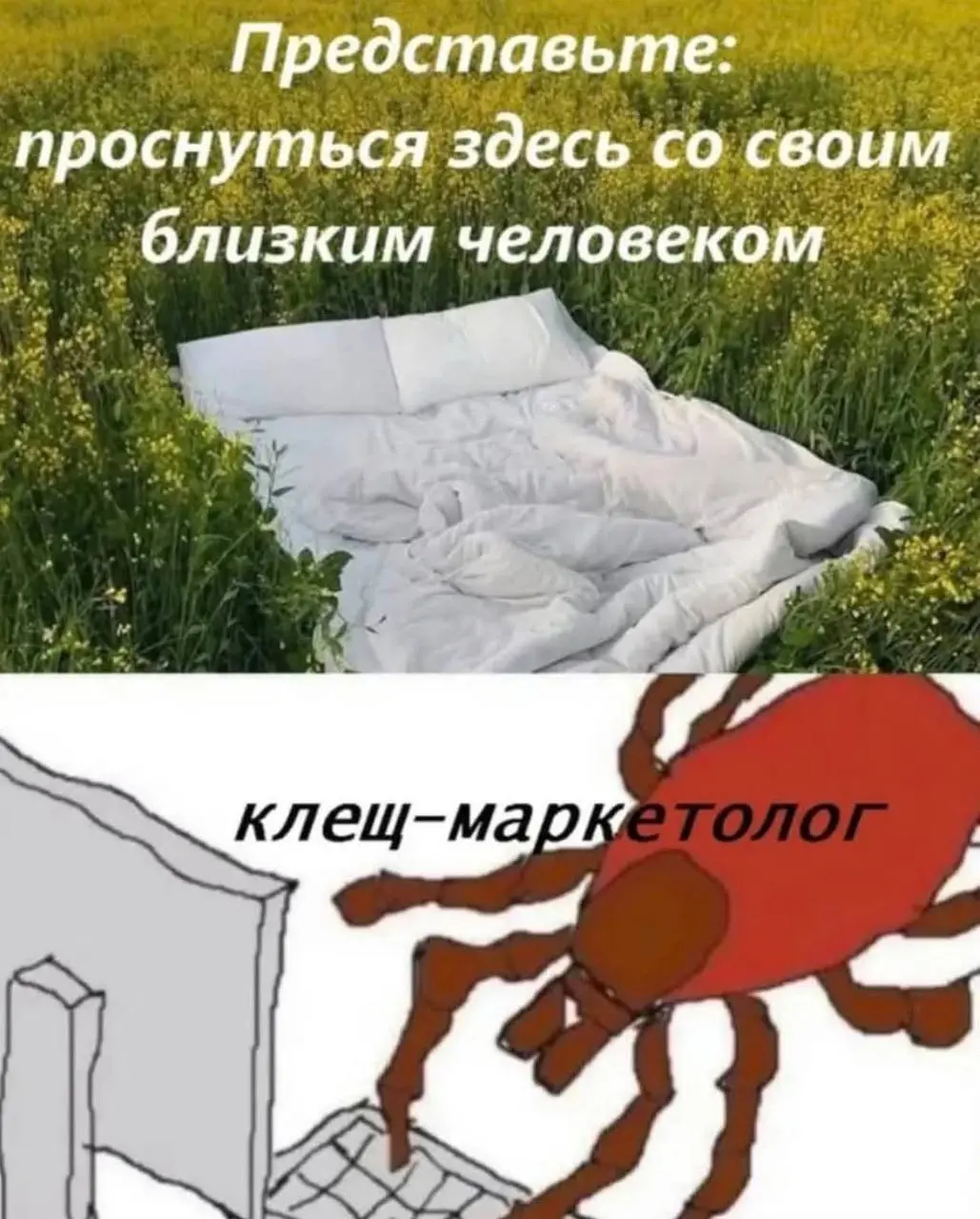 Всем, прекрасной недели, коллеги. Креативных и взрывных идей. | Сетка — социальная сеть от hh.ru
