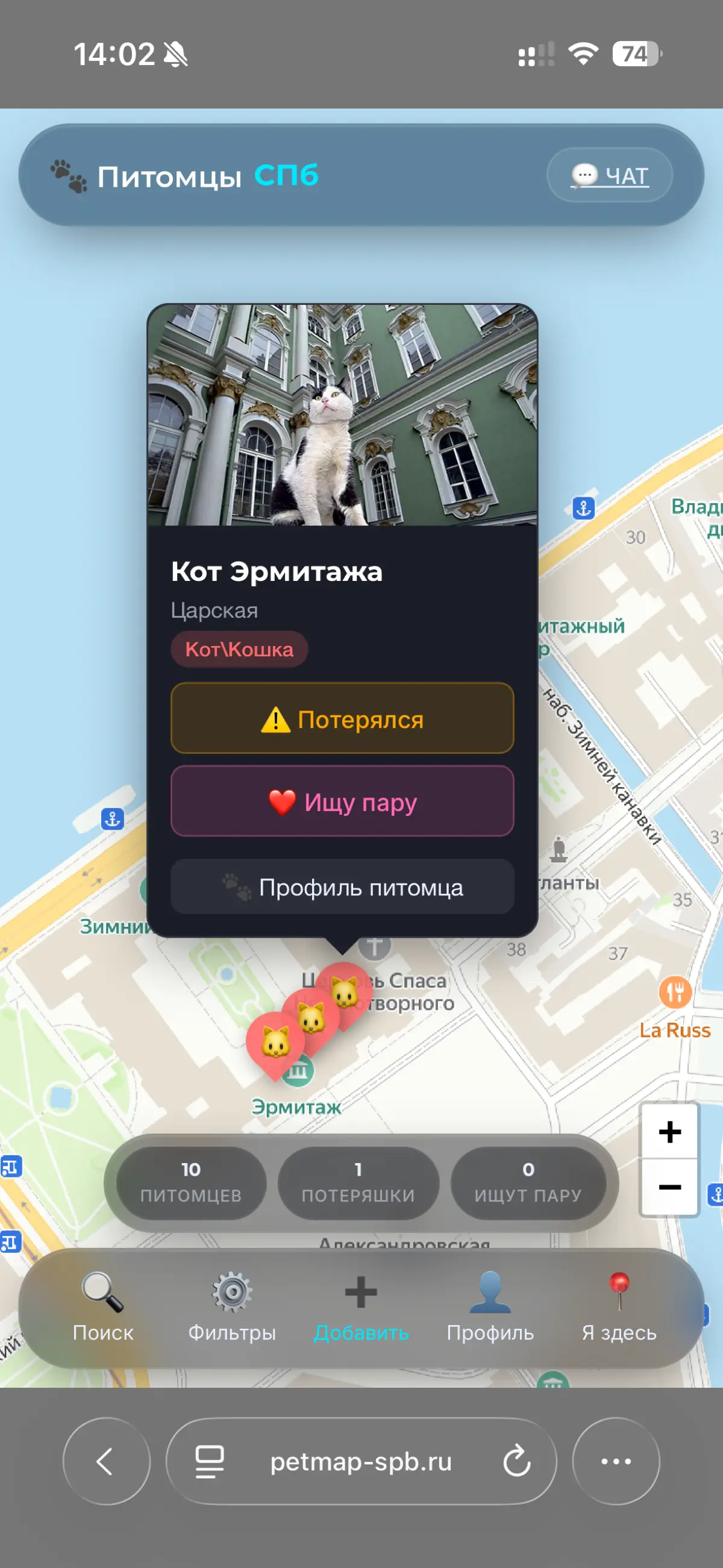 Интереактивная карта питомцев СПб | Сетка — социальная сеть от hh.ru