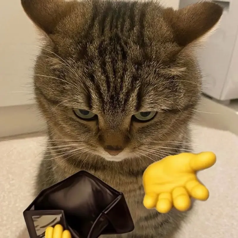 Инна Шамшина