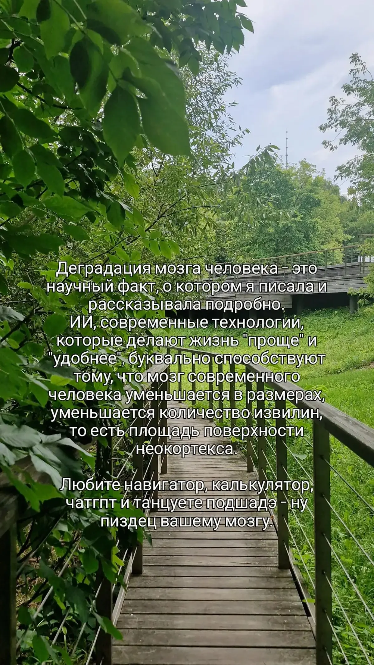 Внимание - самый ценный ресурс | Сетка — социальная сеть от hh.ru