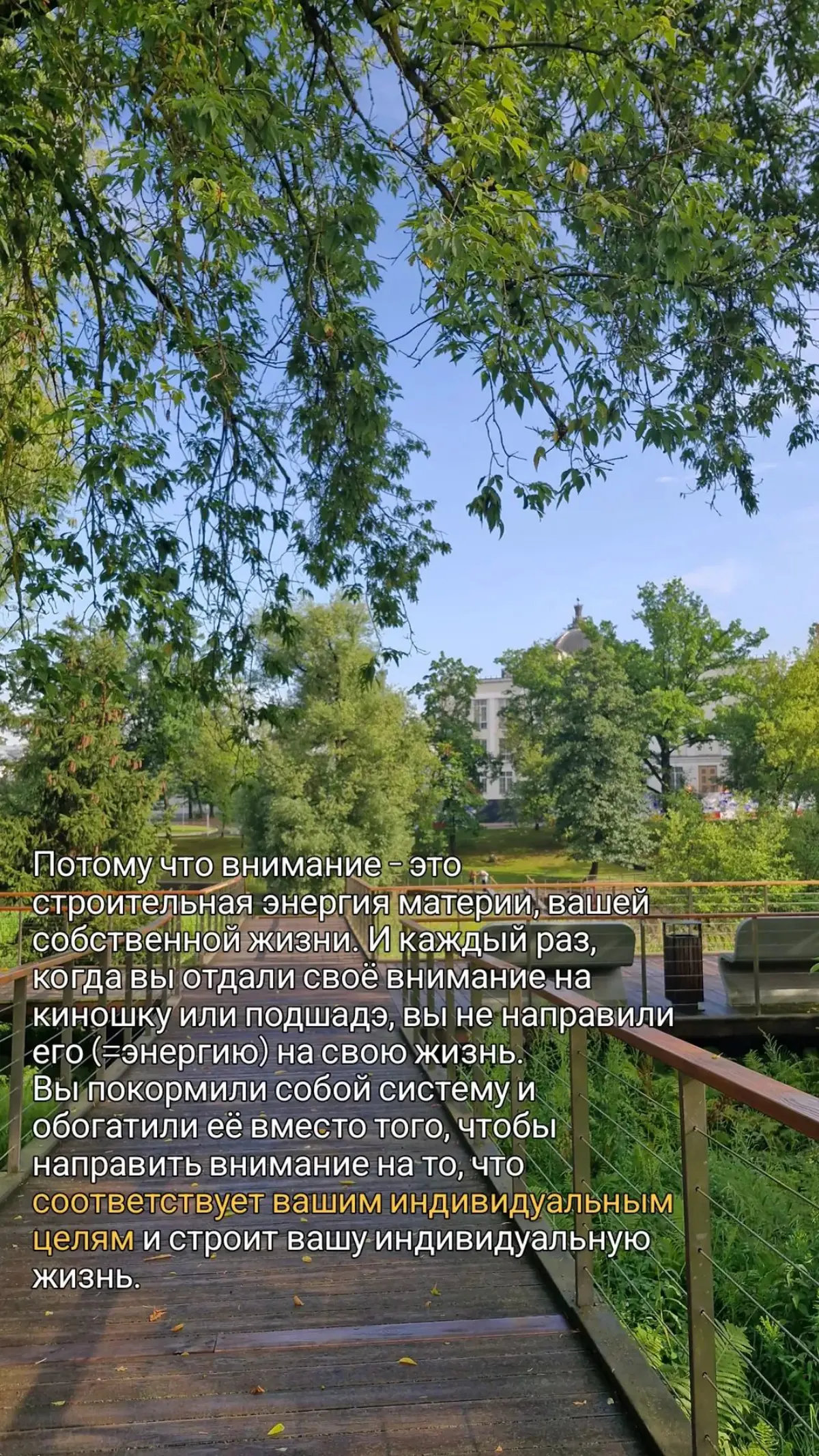 Внимание - самый ценный ресурс | Сетка — социальная сеть от hh.ru