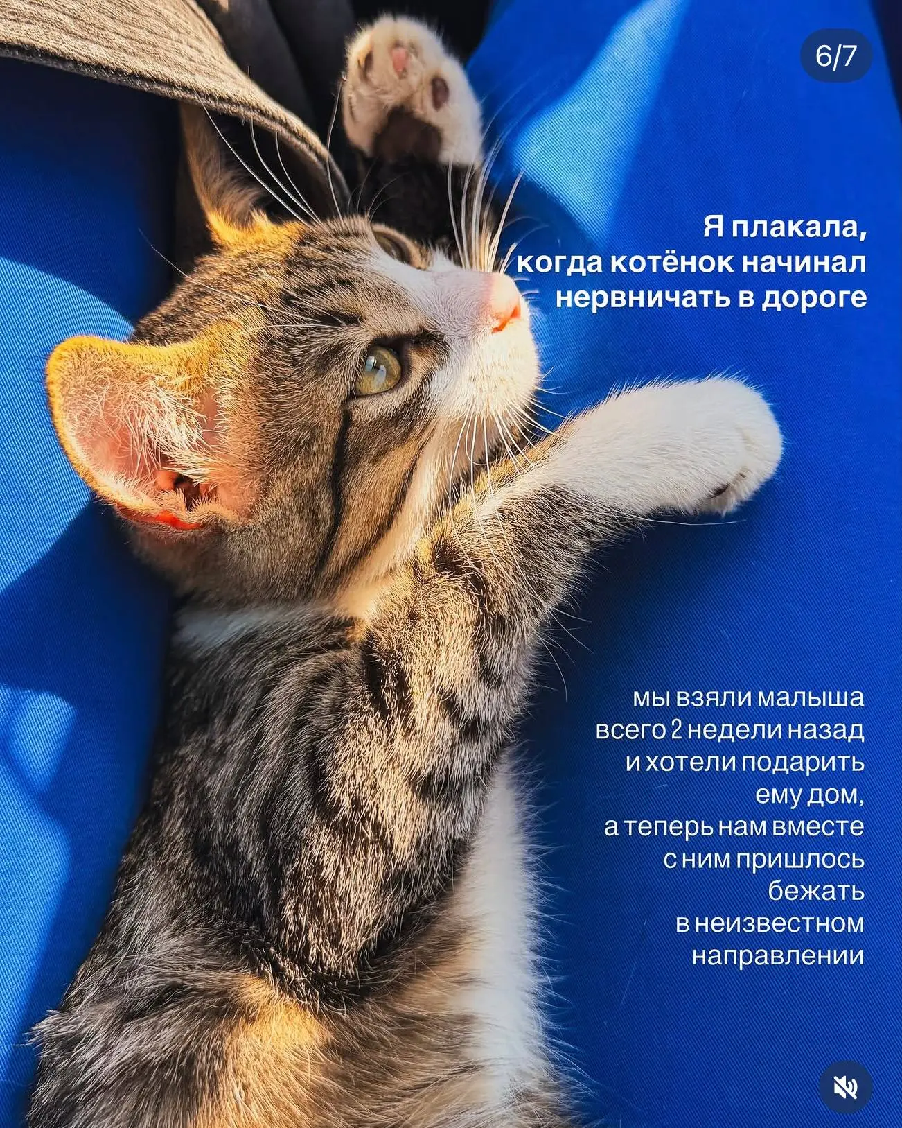 Уехать, нельзя остаться
Главное, что я сделала для своей школы за минувшие 3 дня - это проехала 1755 км к стабильному свету и интернету | Сетка — социальная сеть от hh.ru